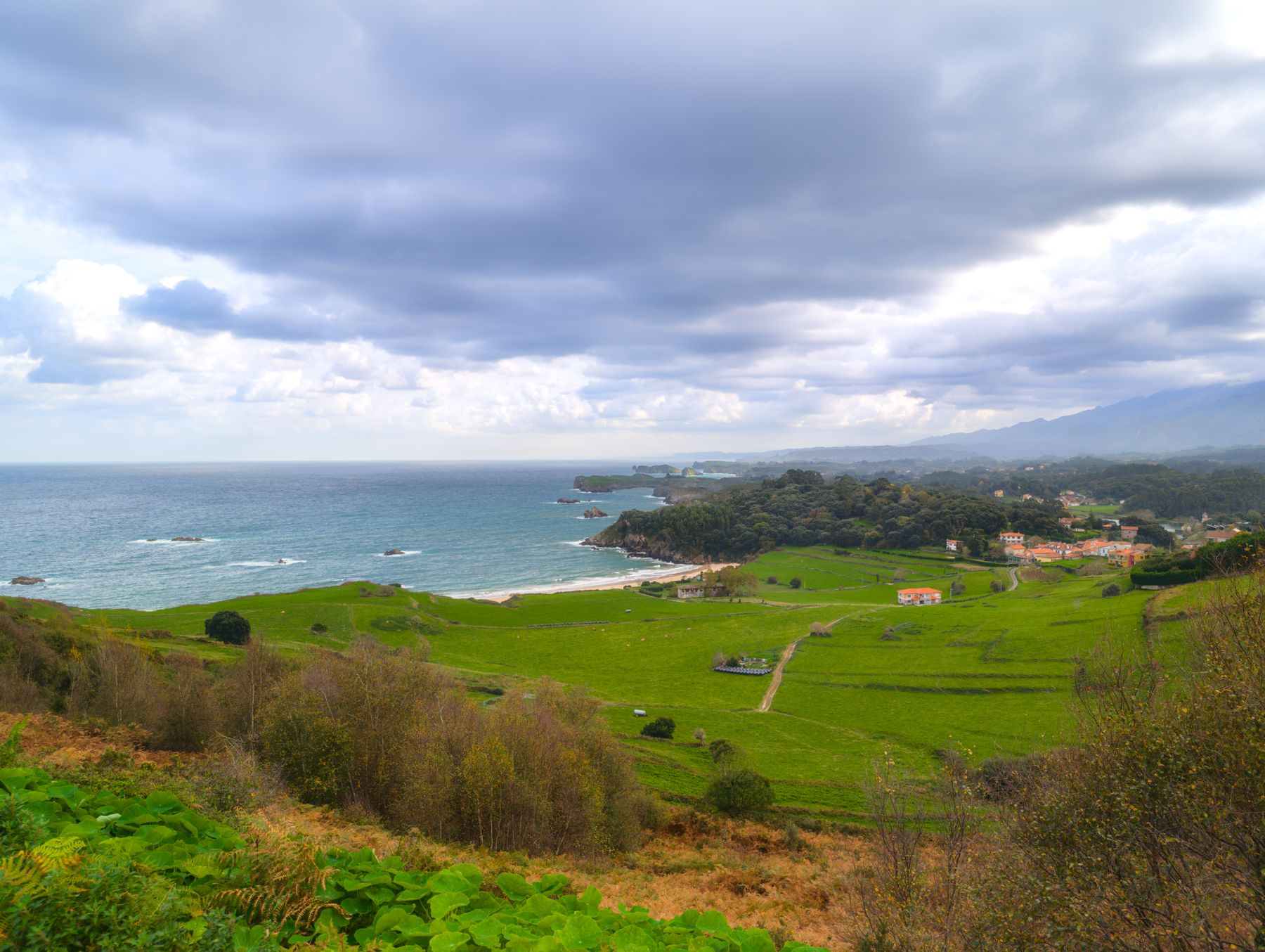 Paisaje verde junto al mar